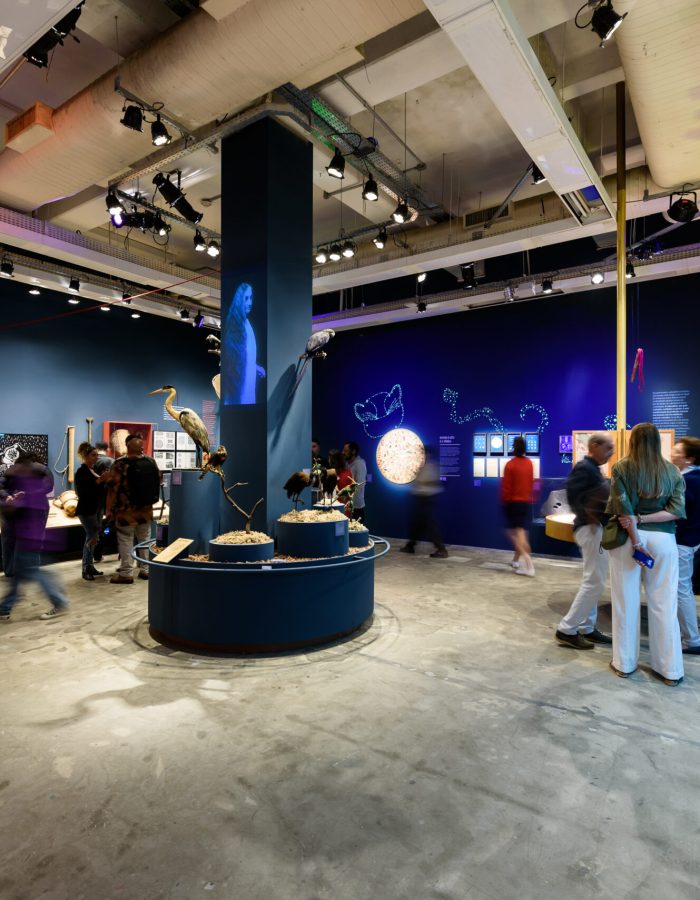 nos-futurosrj-mbaraka-mapafotografia-rogeriovonkruger 251 (3)